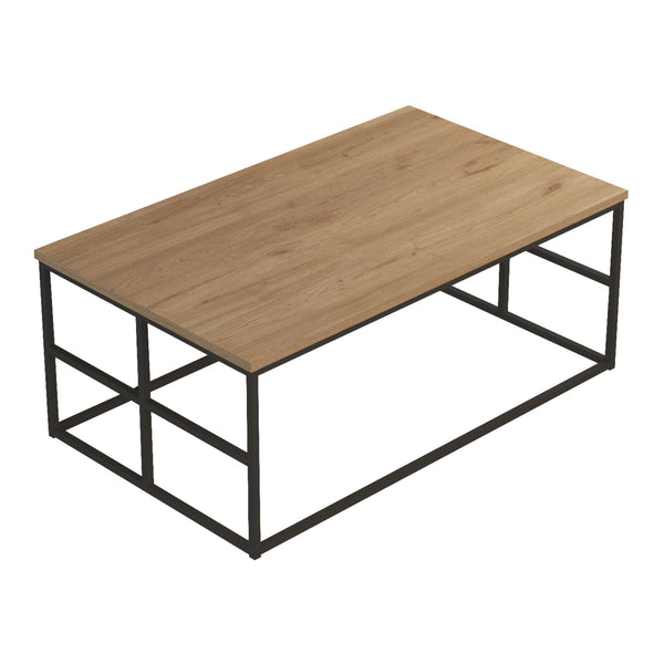 Salontafel Velendi 100x60x40 cm eikenkleurig en zwart [en.casa]