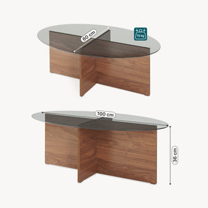 Salontafel Viroya 100x60x36 cm Notenhoutlook/Grijs [en.casa]