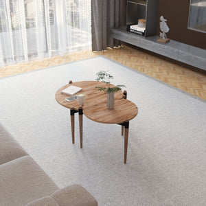 [en.casa] Salontafel Kristinestad set van 2 grenen houtkleurig