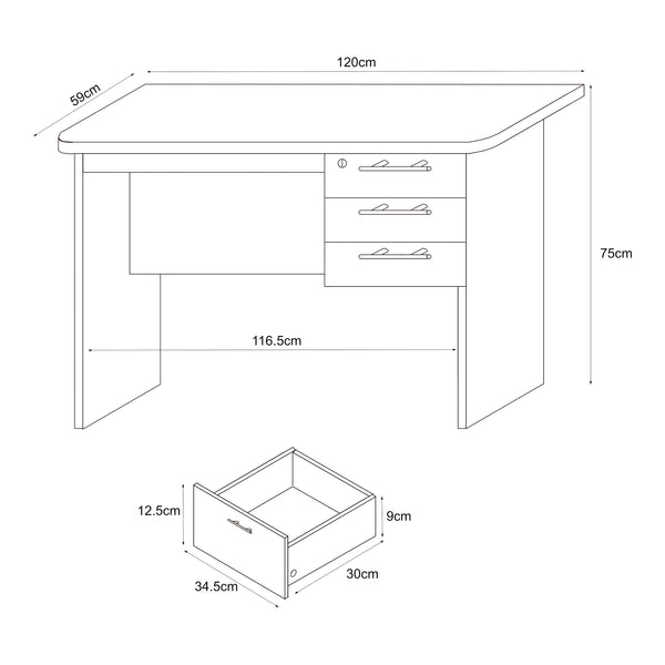Bureau Ragunda 120x59x75 cm houtkleurig donker [en.casa]