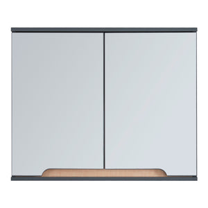 [en.casa] Badkamerkast met spiegel Gescher 49,5x60x20 cm grijs en houtkleurig