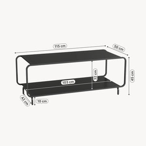 Salontafel Færder 115x50x45 cm zwart [en.c