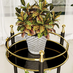 [en.casa] Plantenstandaard Oulainen 79x28x28 cm zwart en goudkleurig 