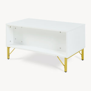 Salontafel Reyri 80x45x42 cm Wit/Goudkleurig
