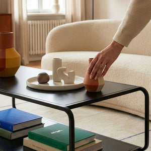 Salontafel Færder 115x50x45 cm zwart [en.c