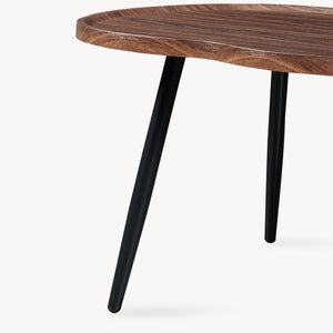 Salontafel Ken 100 x 60 x 47 cm walnootlook [en.casa]