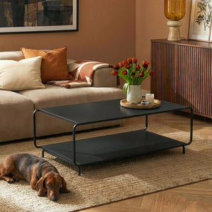 Salontafel Færder 115x50x45 cm zwart [en.c