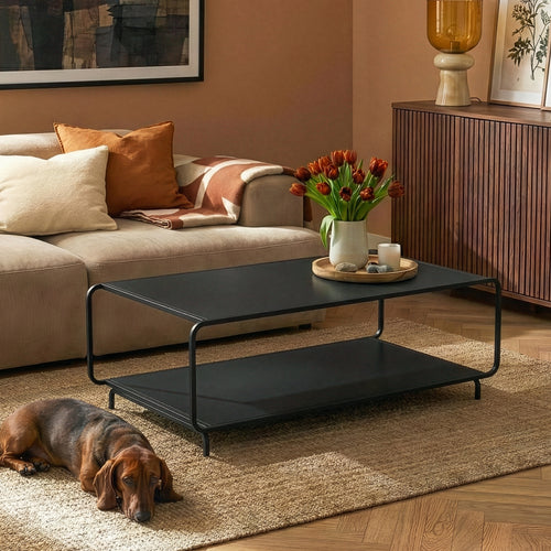 Salontafel Færder 115x50x45 cm zwart [en.c