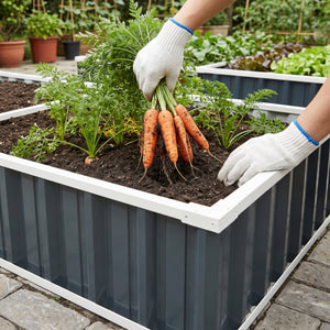 Moestuinbak Albrandswaard met 1 paar handschoenen 258x90x30 cm antracietgrijs [en.casa]