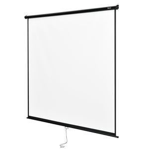 Projectiescherm wit en zwart 203x203 cm 113"