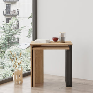 Bijzettafel Vesanto set van 2 [en.casa]